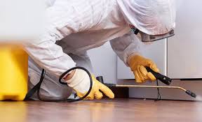 Best Residential Pest Control  in Nicholson, MS